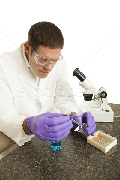 Scientist In Lab Stock photo © lisafx