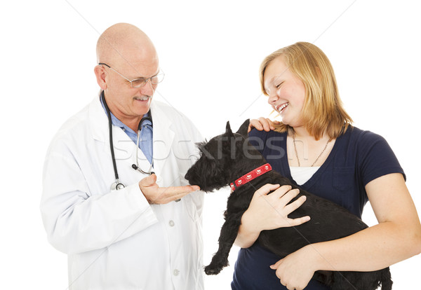 Visit to the Veterinarian Stock photo © lisafx