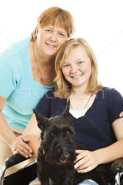 Family Pet Stock photo © lisafx