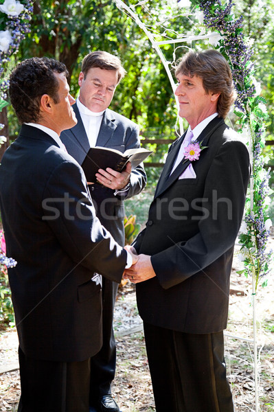 Eşcinsel düğün park yakışıklı çift evli Stok fotoğraf © lisafx
