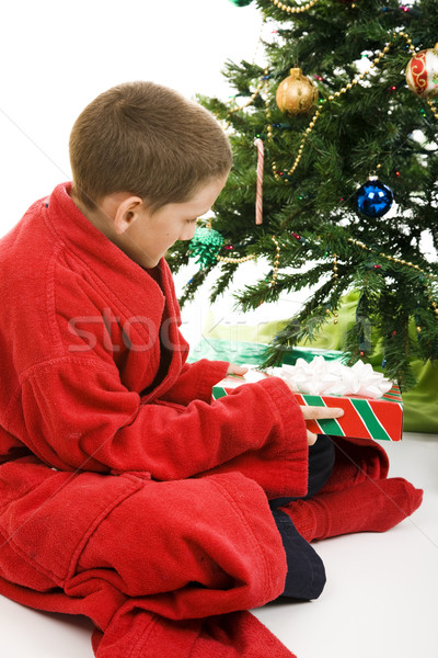 Pequeño nino Navidad regalo apertura presente Foto stock © lisafx