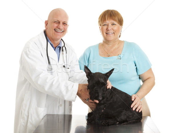 Veterinarian with Happy Client Stock photo © lisafx