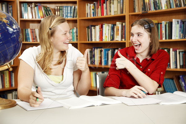 Huiswerk succes teen meisjes school bibliotheek Stockfoto © lisafx