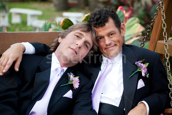 Stock foto: Gut · aussehend · Homosexuell · Hochzeit · Paar · Porträt · männlich