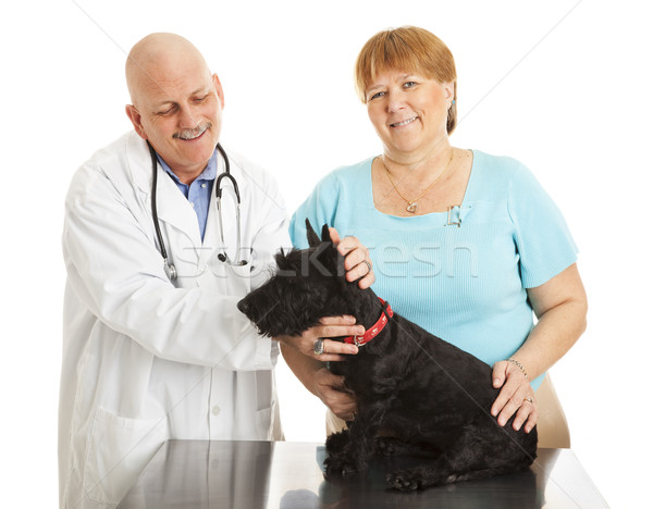 Veterinarian and Happy Dog Owner Stock photo © lisafx