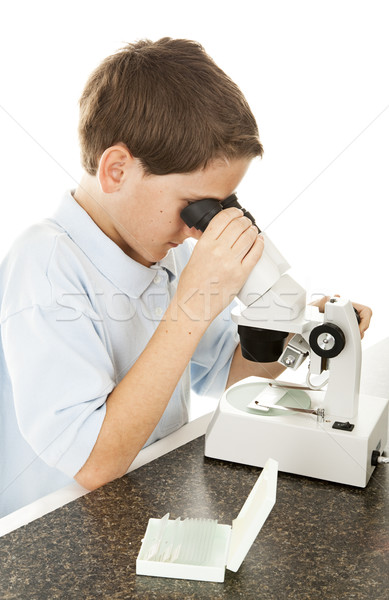 Boy Looking Through Microscope Stock photo © lisafx