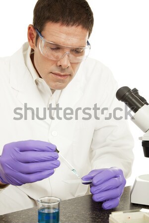 Scientist Grows Culture in Petri Dish Stock photo © lisafx