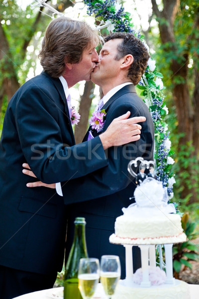 Homosexual nuntă romantic sărut doua sărutat Imagine de stoc © lisafx