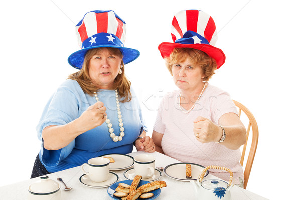 Tea buli harcol őrült amerikai konzervatív Stock fotó © lisafx
