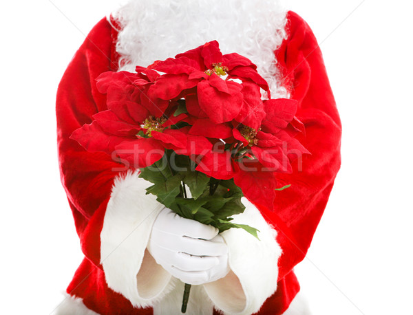 Santa Claus Holding Poinsettias Stock photo © lisafx