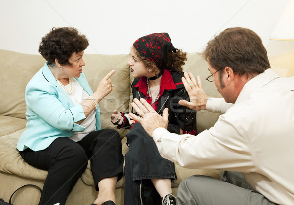 Family Counseling - Blame Daughter Stock photo © lisafx