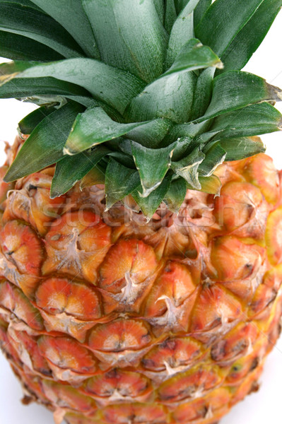 Pineapple Top On White Stock photo © lisafx