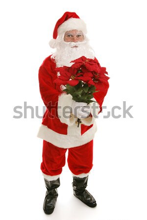 Santa With Poinsettias Full Body Stock photo © lisafx