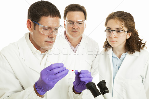Grupo forense cientistas médico deslizar humanismo Foto stock © lisafx