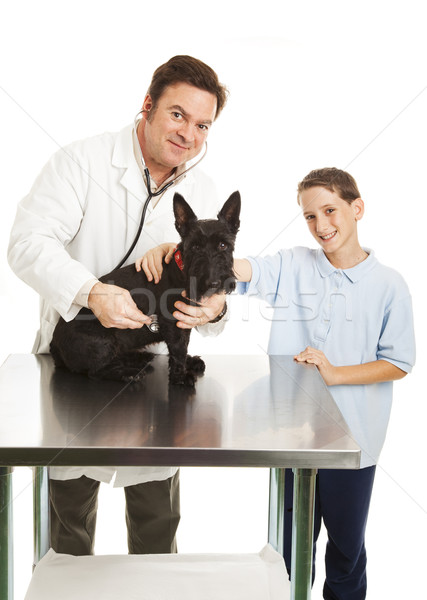 Vet and Child with Dog Stock photo © lisafx