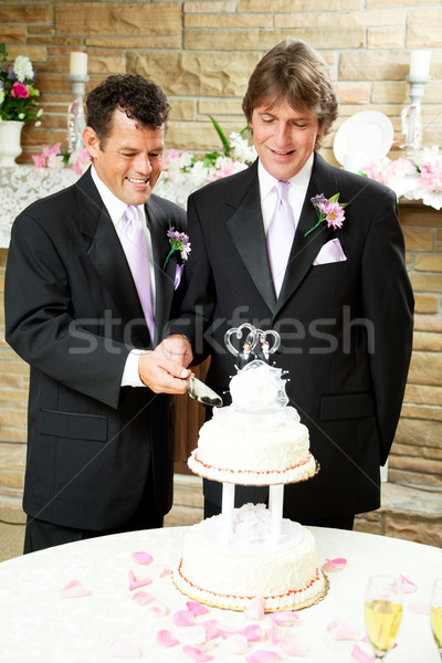 ストックフォト: ゲイ · 結婚式 · カット · ケーキ · 2 · ハンサム