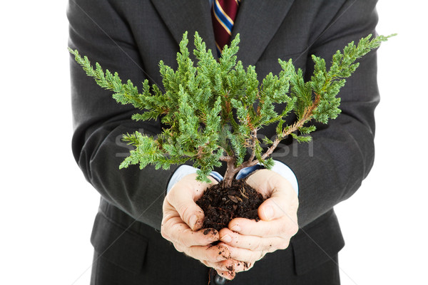 Ecology and Business Stock photo © lisafx