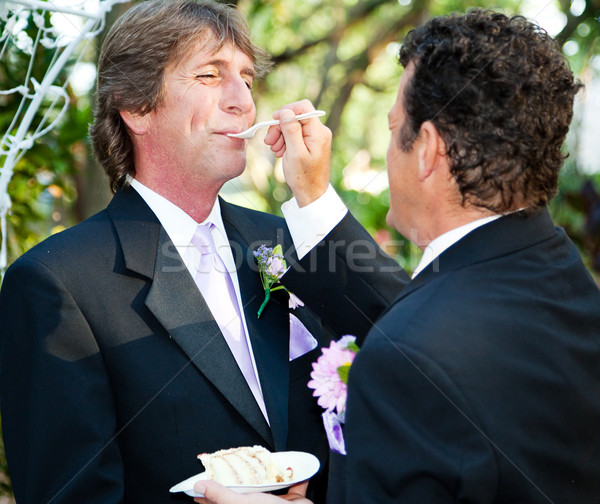 Bruidstaart een bruidegom ander homohuwelijk Stockfoto © lisafx