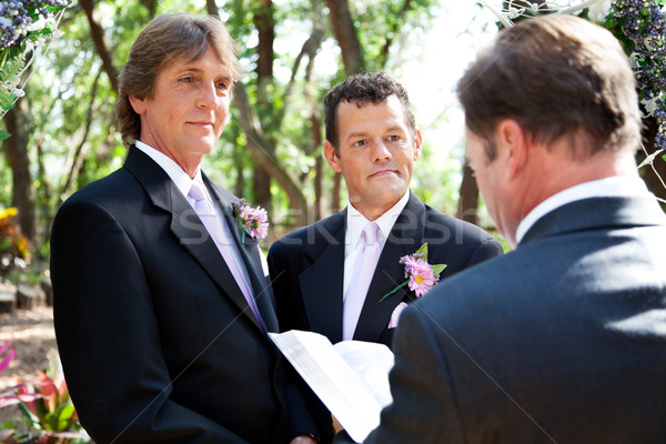 Eşcinsel evlilik taahhüt yakışıklı eşcinsel erkek çift Stok fotoğraf © lisafx