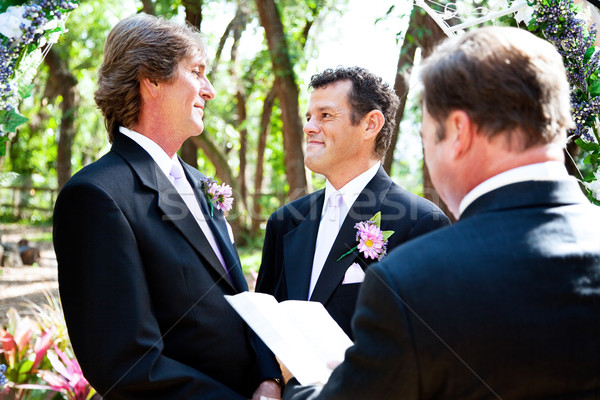 Wedding Vows Stock photo © lisafx