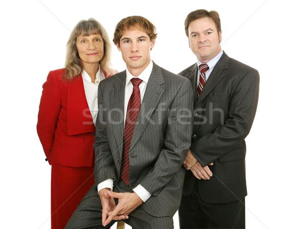Competent Business Team Stock photo © lisafx