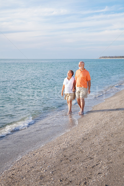 Retirement in Paradise Stock photo © lisafx