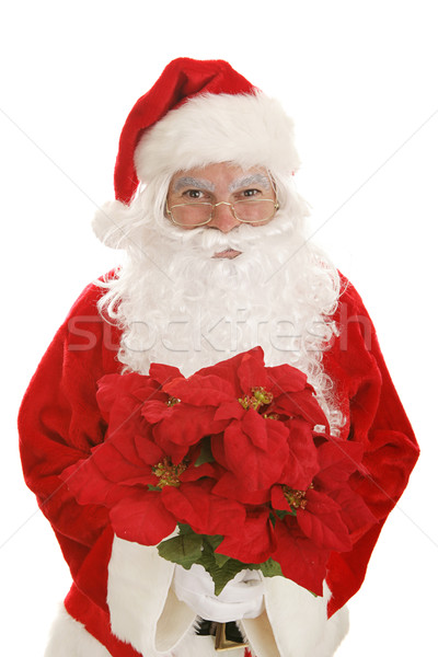 Santa with Poinsettias Stock photo © lisafx