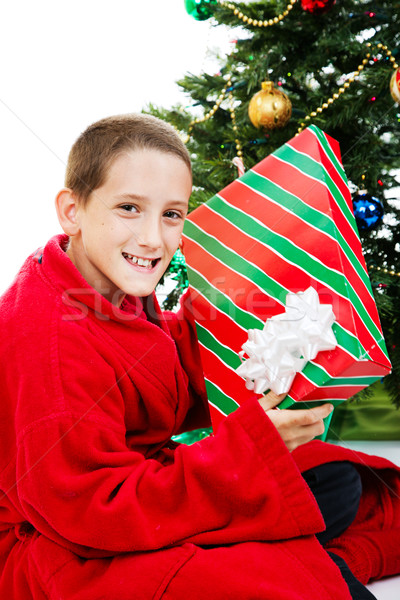Boy With Chrstmas Gift Stock photo © lisafx