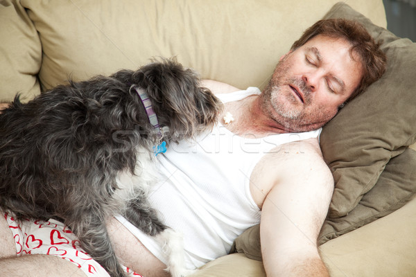 Stock foto: Arbeitslose · Mann · heraus · Couch · Unterwäsche · Hund