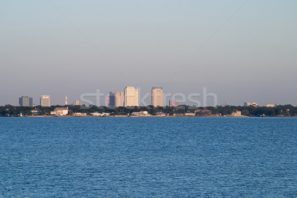 Tampa Florida Skyline Stock photo © lisafx