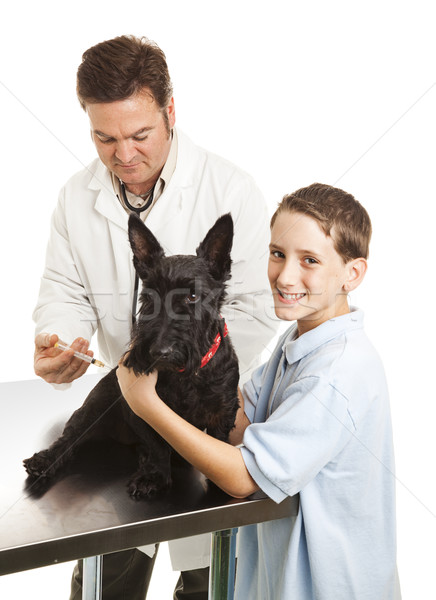 Vet Treats Boys Dog Stock photo © lisafx