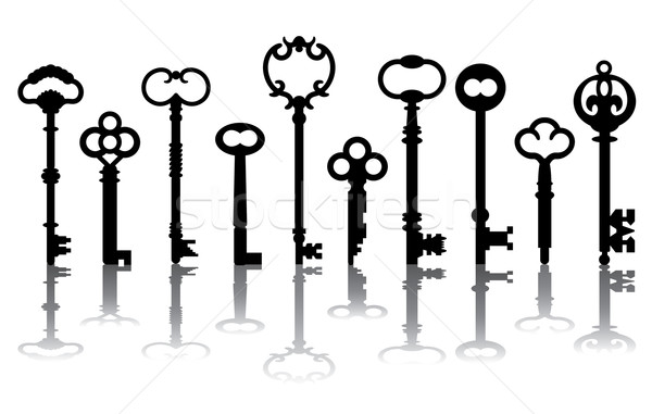 Skeleton Key Icons Stock photo © Lisann