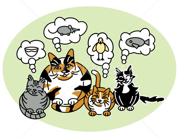 Ce pisici crede mama pisică trei Imagine de stoc © Lisann