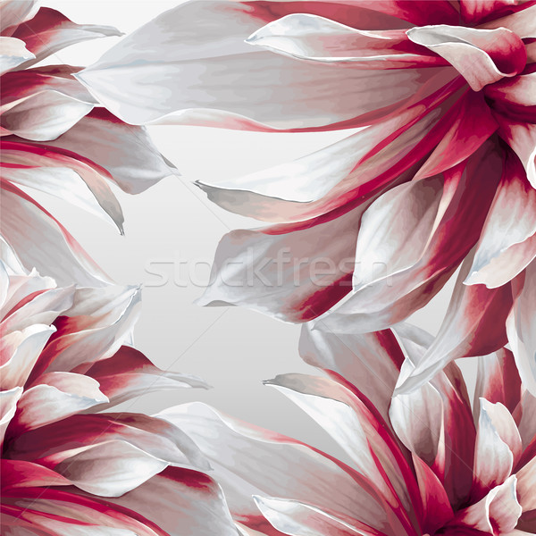 Dahlia futuristische vector abstract boekje groet Stockfoto © LisaShu