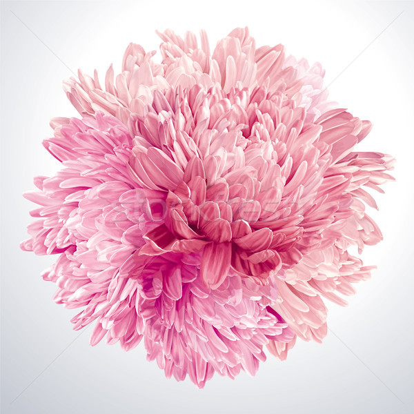 розовый сфере современных цветочный искусства цветок вектор Сток-фото © LisaShu
