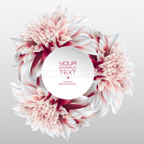 Dahlia futuristische papier label vector abstract Stockfoto © LisaShu