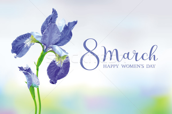 Blue Iris vector flower greeting card for 8 March Stock photo © LisaShu