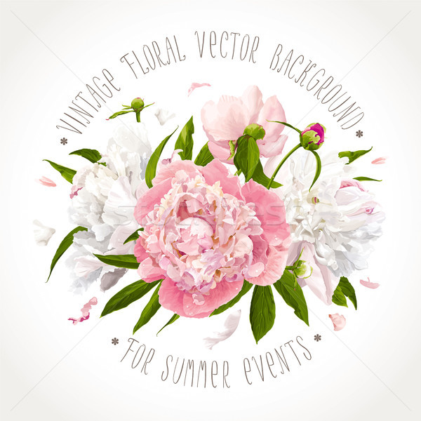 Stock photo: Pink and white peony composition