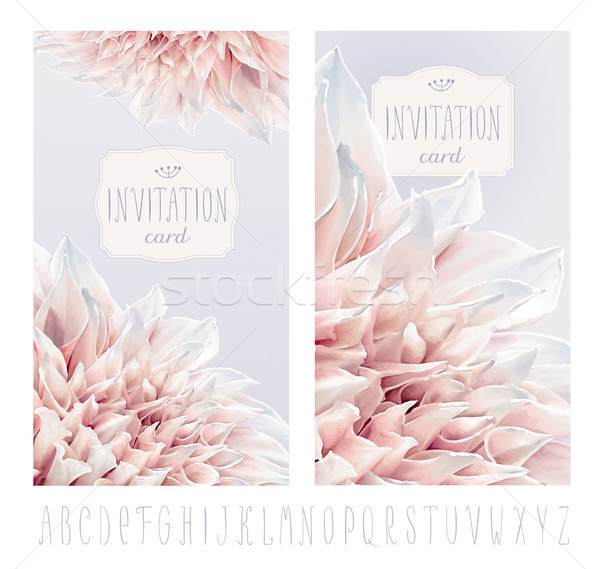 Dahlia invitation cards Stock photo © LisaShu