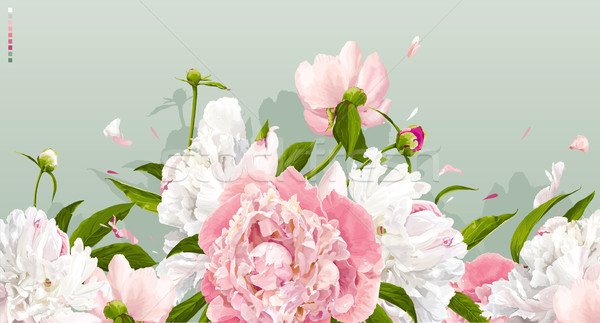 Pink and white peony background Stock photo © LisaShu