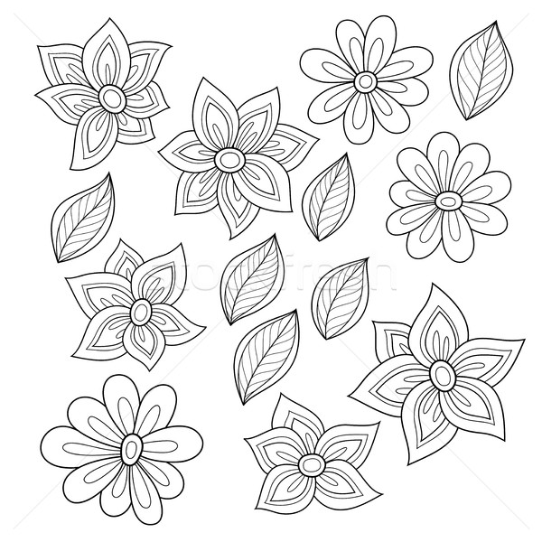 Stockfoto: Vector · ingesteld · monochroom · contour · bloemen · bladeren