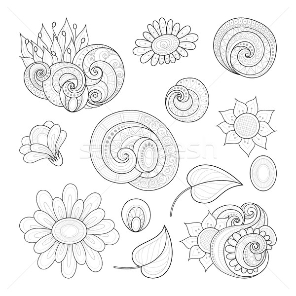 [[stock_photo]]: Vecteur · monochrome · contour · floral