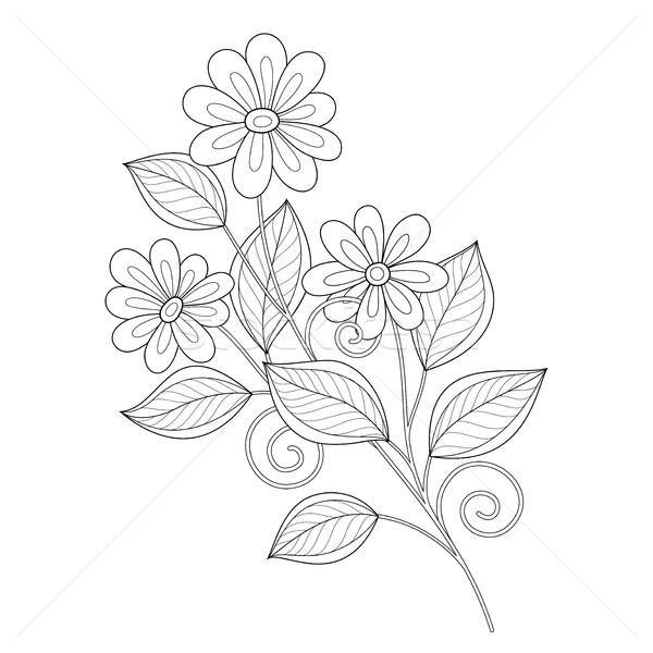 Stock fotó: Vektor · gyönyörű · monokróm · körvonal · virág · vektor · virág