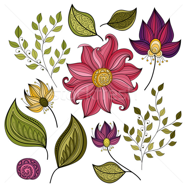 Stock photo: Vector Set of Colored Contour Flowers and Leaves
