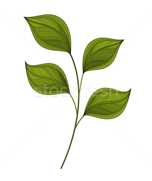 Vector Beautiful Leaf Stock photo © lissantee