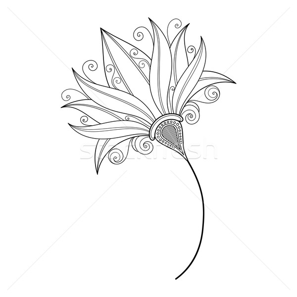 Vetor belo monocromático contorno flor do vetor flor Foto stock © lissantee