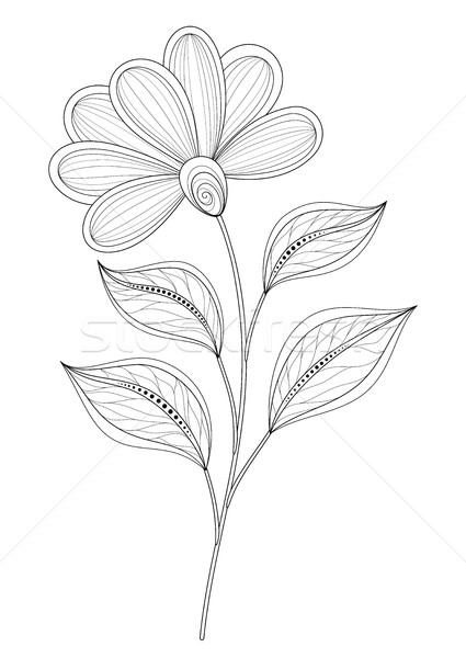 Stock fotó: Vektor · gyönyörű · körvonal · virág · vektor · virág · tárgy