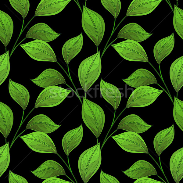 Foto stock: Vector · sin · costura · floral · patrón · dibujado · a · mano · textura