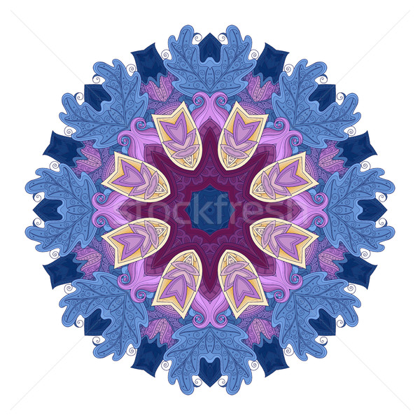 Vektor gyönyörű színes körvonal mandala dizájn elem Stock fotó © lissantee