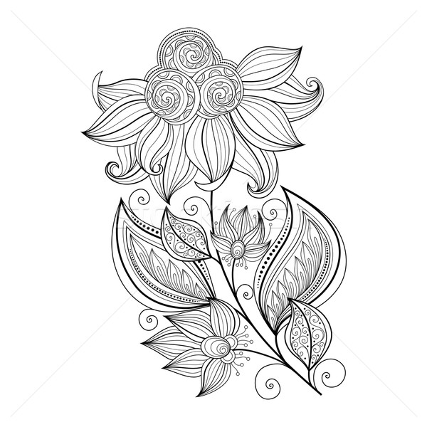 Vecteur belle monochrome contour fleur vecteur fleur [[stock_photo]] © lissantee
